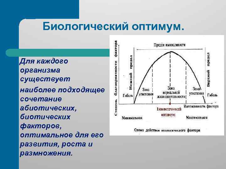 Пределы влияния