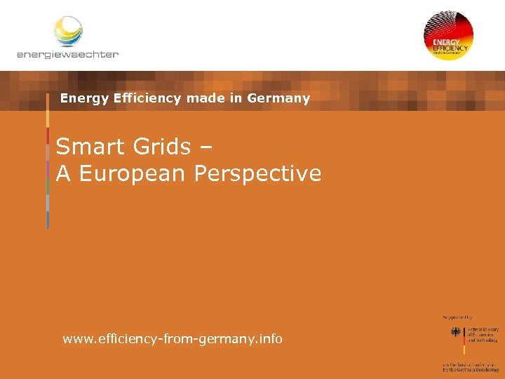 Energy Efficiency made in Germany Smart Grids – A European Perspective www. efficiency-from-germany. info