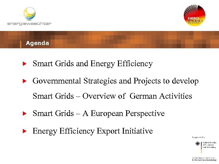 Agenda Smart Grids and Energy Efficiency Governmental Strategies and Projects to develop Smart Grids