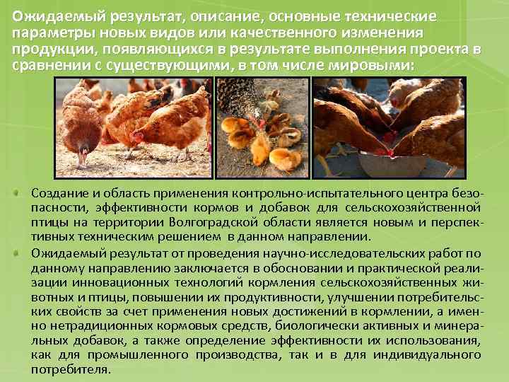 Ожидаемый результат, описание, основные технические параметры новых видов или качественного изменения продукции, появляющихся в