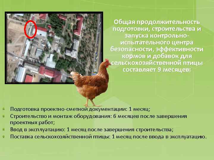 Общая продолжительность подготовки, строительства и запуска контрольноиспытательного центра безопасности, эффективности кормов и добавок для