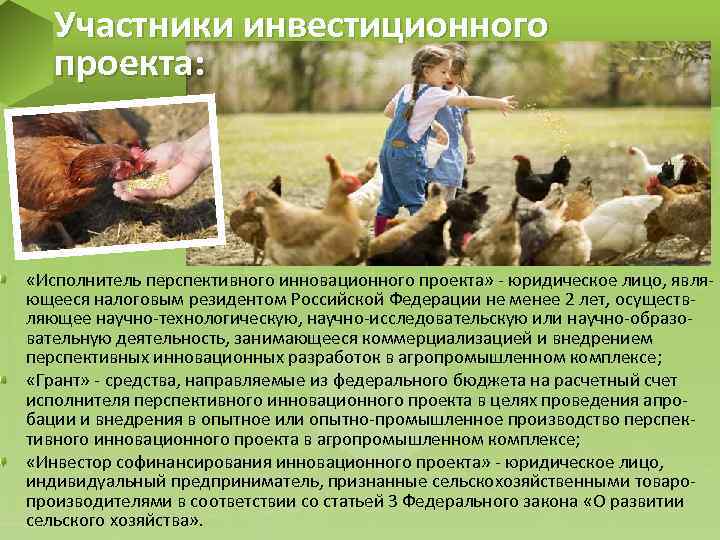 Участники инвестиционного проекта: «Исполнитель перспективного инновационного проекта» - юридическое лицо, являющееся налоговым резидентом Российской