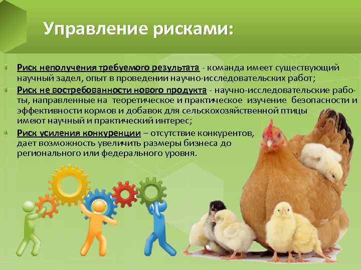 Управление рисками: Риск неполучения требуемого результата - команда имеет существующий научный задел, опыт в