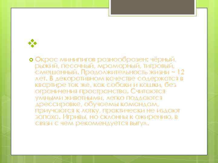 v Окрас минипигов разнообразен: чёрный, рыжий, песочный, мраморный, тигровый, смешанный. Продолжительность жизни ~ 12