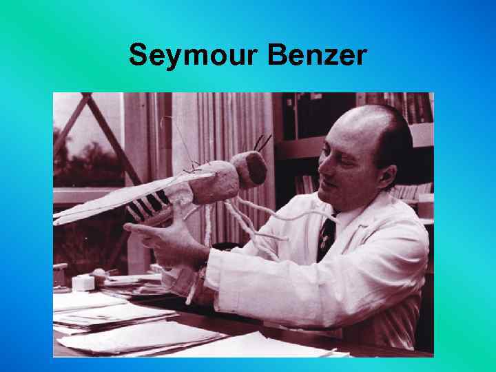 Seymour Benzer 