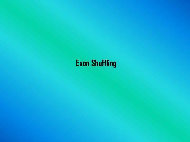 Exon Shuffling 