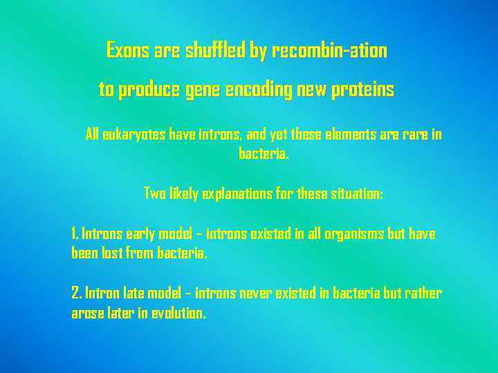 Exons are shuffled by recombin-ation to produce gene encoding new proteins All eukaryotes have