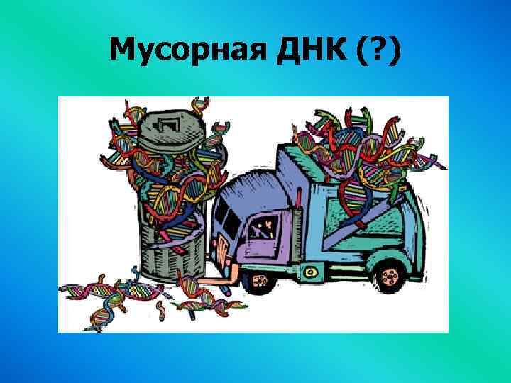 Мусорная ДНК (? ) 