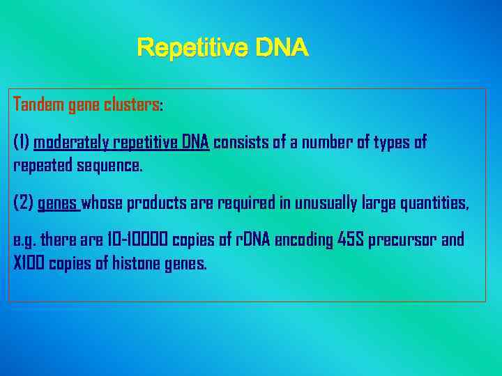 Repetitive DNA Tandem gene clusters: (1) moderately repetitive DNA consists of a number of