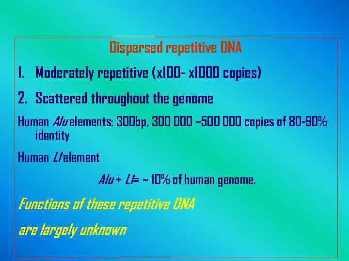 Dispersed repetitive DNA 1. Moderately repetitive (x 100 - x 1000 copies) 2. Scattered