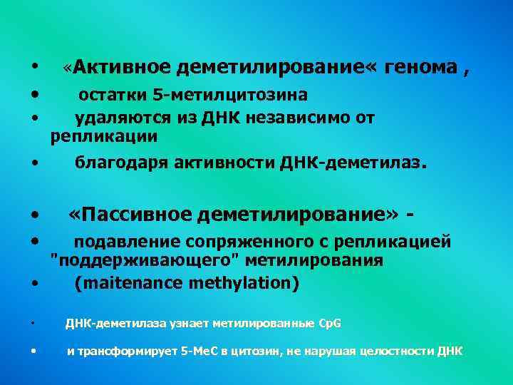  • «Активное деметилирование « генома , • остатки 5 -метилцитозина • удаляются из