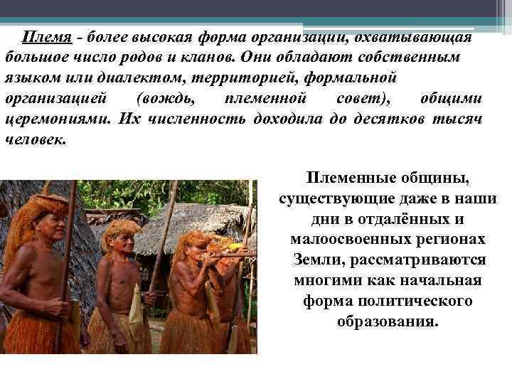 Племя - более высокая форма организации, охватывающая большое число родов и кланов. Они обладают