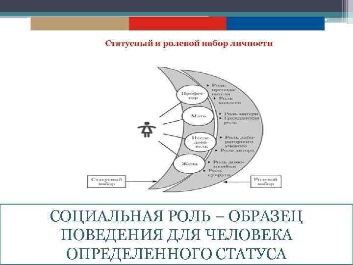 Образец поведения индивидуума которое общество признает рациональным для обладателя данного статуса