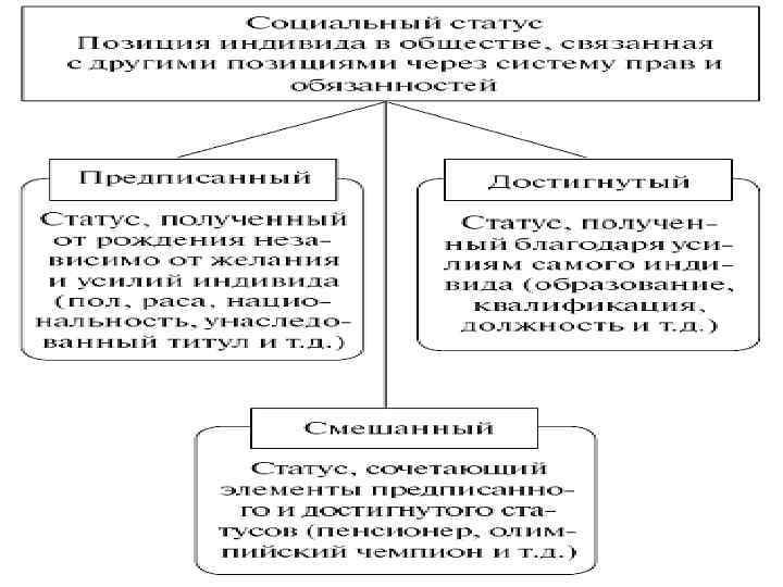 Статусы и торусы разница фото