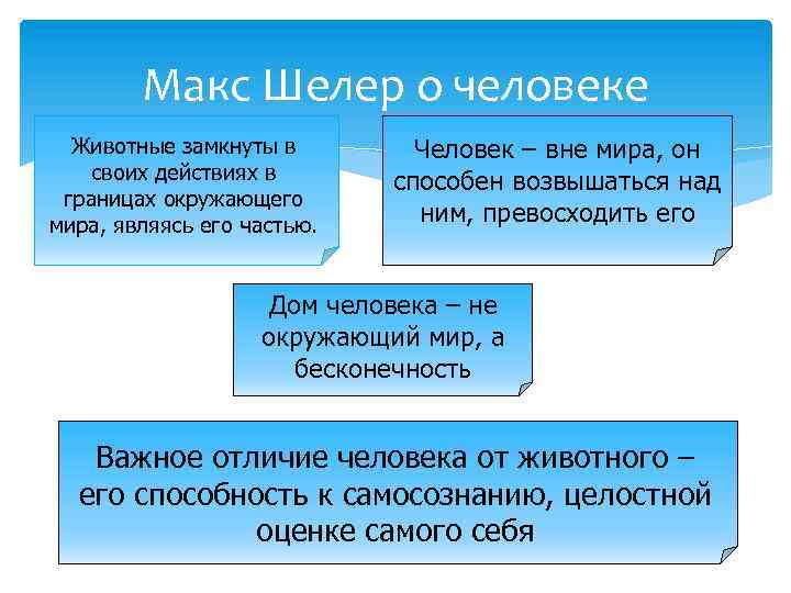 Макс Шелер о человеке Животные замкнуты в своих действиях в границах окружающего мира, являясь