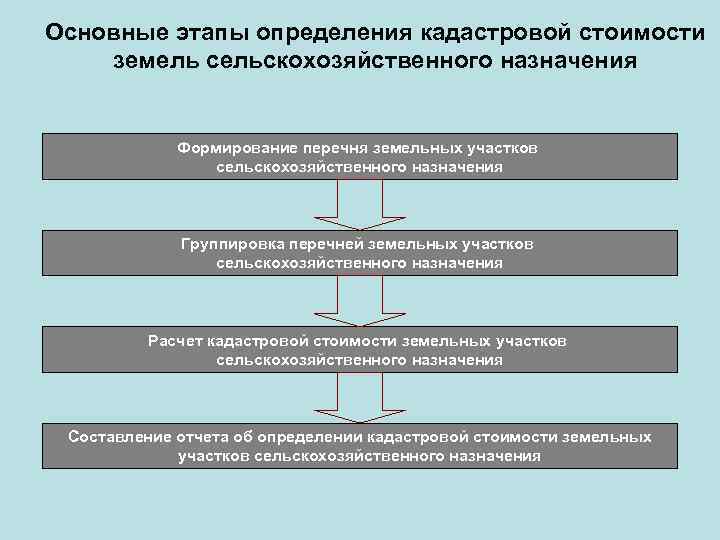 Основные этапы определения кадастровой стоимости земель сельскохозяйственного назначения Формирование перечня земельных участков сельскохозяйственного назначения