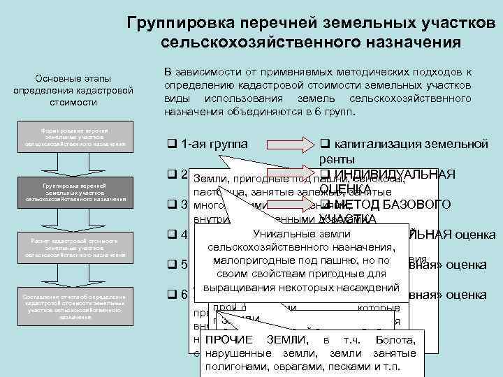 Группировка перечней земельных участков сельскохозяйственного назначения Основные этапы определения кадастровой стоимости Формирование перечня земельных