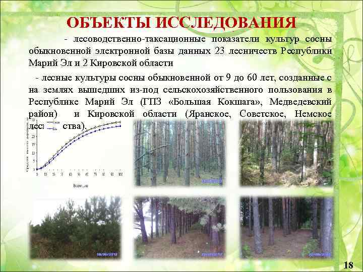 ОБЪЕКТЫ ИССЛЕДОВАНИЯ - лесоводственно-таксационные показатели культур сосны обыкновенной электронной базы данных 23 лесничеств Республики
