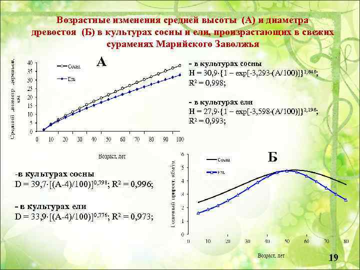 Возрастные изменения средней высоты (А) и диаметра древостоя (Б) в культурах сосны и ели,
