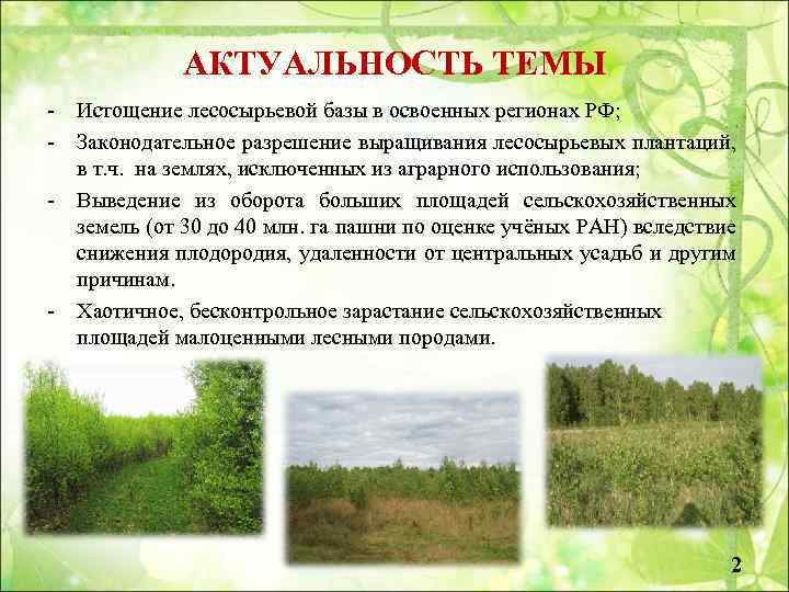 АКТУАЛЬНОСТЬ ТЕМЫ - Истощение лесосырьевой базы в освоенных регионах РФ; - Законодательное разрешение выращивания