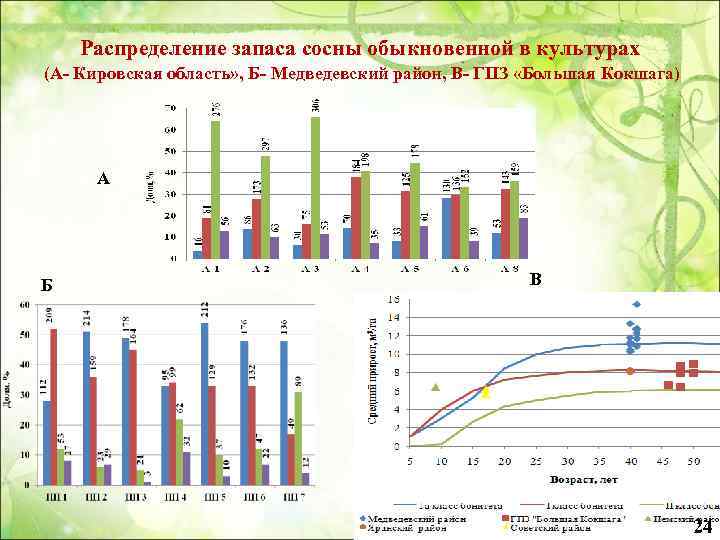 Распределение запаса сосны обыкновенной в культурах (А- Кировская область» , Б- Медведевский район, В-