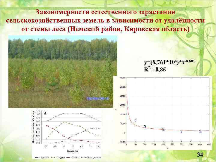 Закономерности естественного зарастания сельскохозяйственных земель в зависимости от удалённости от стены леса (Немский район,
