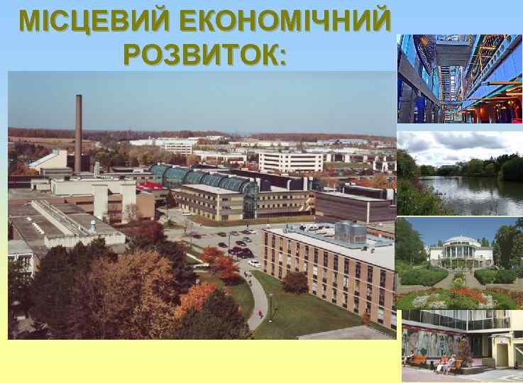 МІСЦЕВИЙ ЕКОНОМІЧНИЙ РОЗВИТОК: 