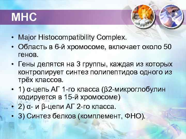 MHC • Major Histocompatibility Complex. • Область в 6 -й хромосоме, включает около 50