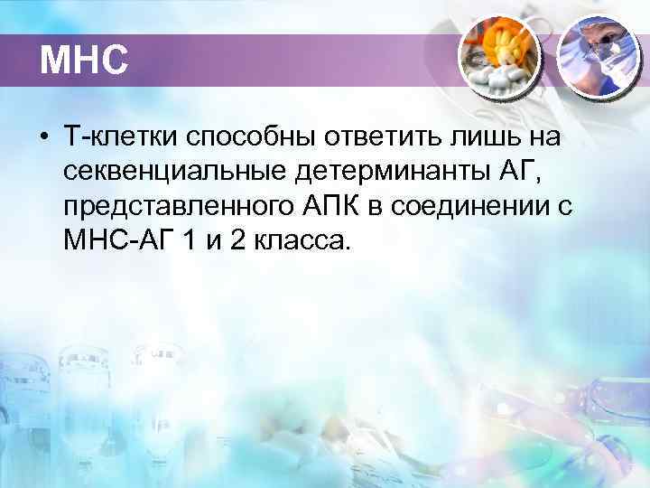 МНС • Т-клетки способны ответить лишь на секвенциальные детерминанты АГ, представленного АПК в соединении