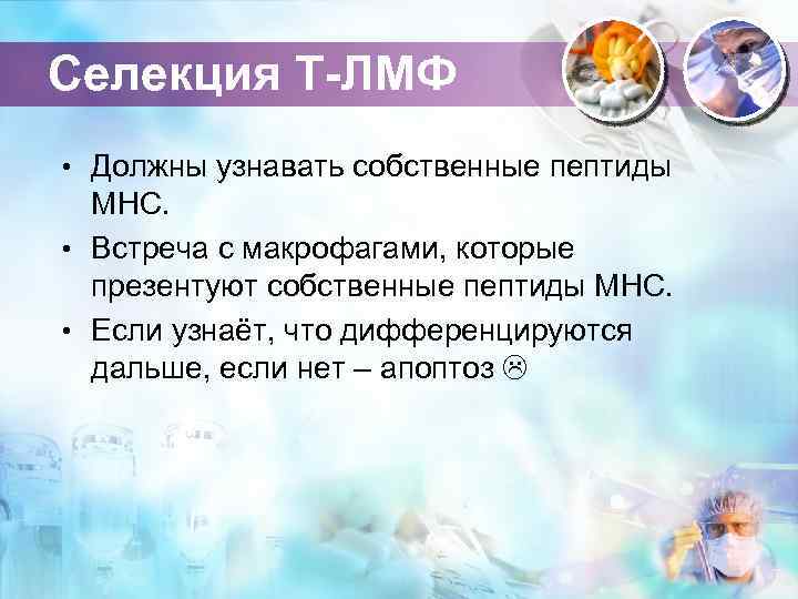 Селекция Т-ЛМФ • Должны узнавать собственные пептиды МНС. • Встреча с макрофагами, которые презентуют