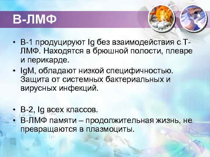 В-ЛМФ • В-1 продуцируют Ig без взаимодействия с ТЛМФ. Находятся в брюшной полости, плевре