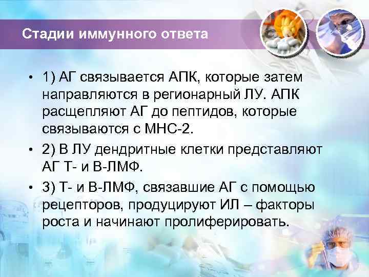 Стадии иммунного ответа • 1) АГ связывается АПК, которые затем направляются в регионарный ЛУ.