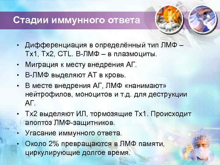 Стадии иммунного ответа • Дифференциация в определённый тип ЛМФ – • • • Тх1,