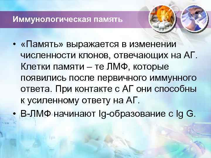 Иммунологическая память • «Память» выражается в изменении численности клонов, отвечающих на АГ. Клетки памяти