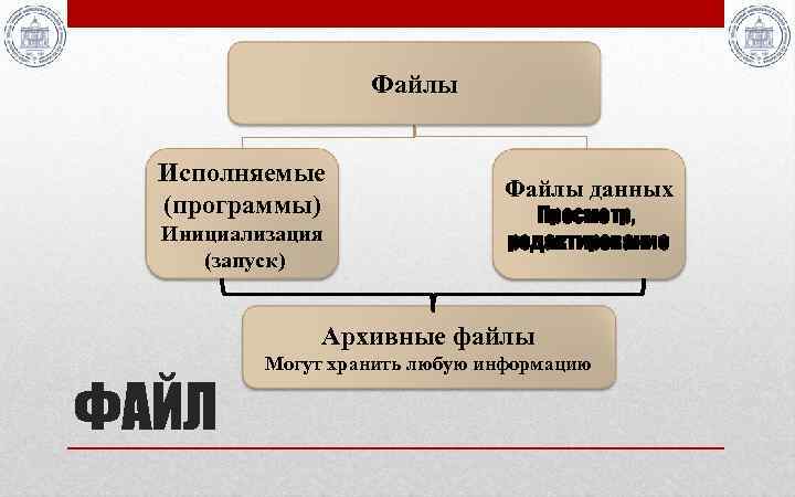 Файлы Исполняемые (программы) Инициализация (запуск) Файлы данных Просмотр, редактирование Архивные файлы ФАЙЛ Могут хранить