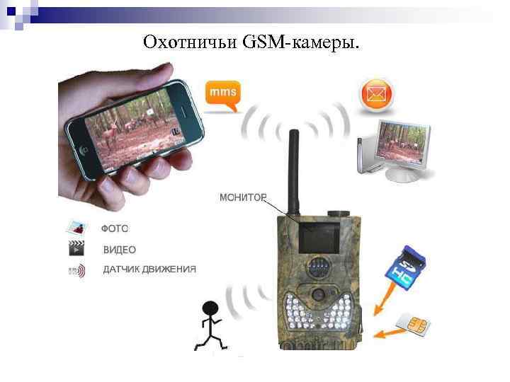 Охотничьи GSM-камеры. 