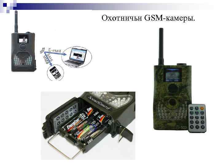 Охотничьи GSM-камеры. 