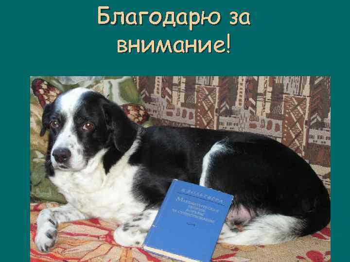 Благодарю за внимание! 