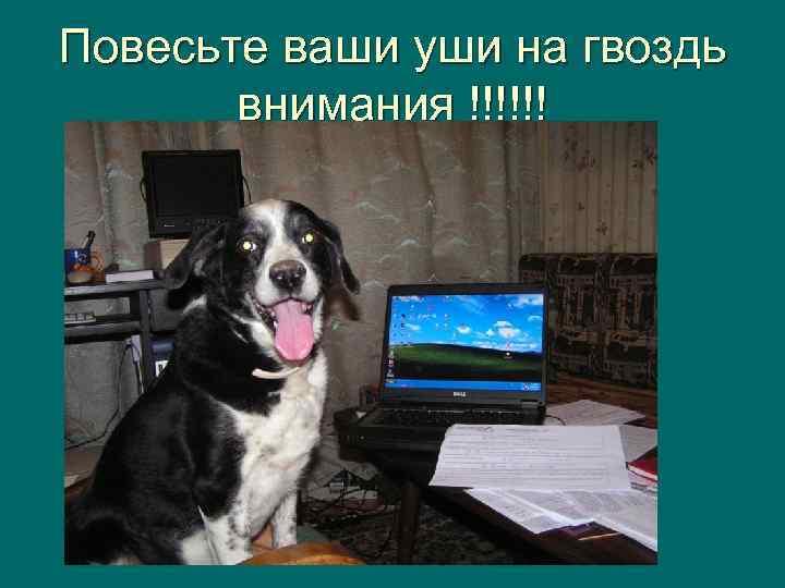Повесьте ваши уши на гвоздь внимания !!!!!! 