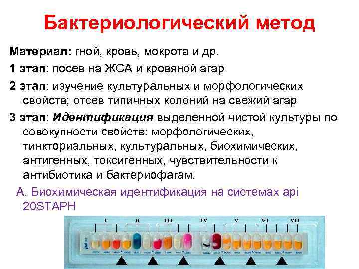 Бактериологический метод Материал: гной, кровь, мокрота и др. 1 этап: посев на ЖСА и