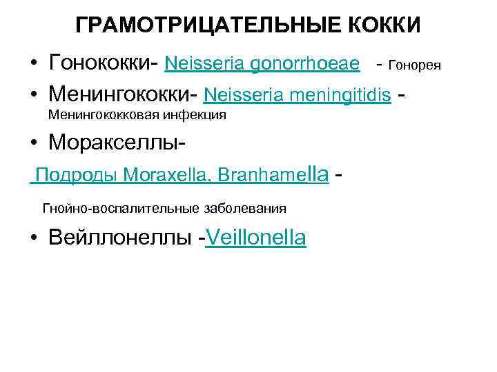 ГРАМОТРИЦАТЕЛЬНЫЕ КОККИ • Гонококки- Neisseria gonorrhoeae - Гонорея • Менингококки- Neisseria meningitidis Менингококковая инфекция