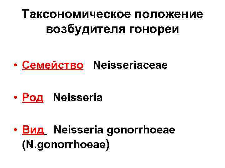 Таксономическое положение возбудителя гонореи • Семейство Neisseriaceae • Род Neisseria • Вид Neisseria gonorrhoeae