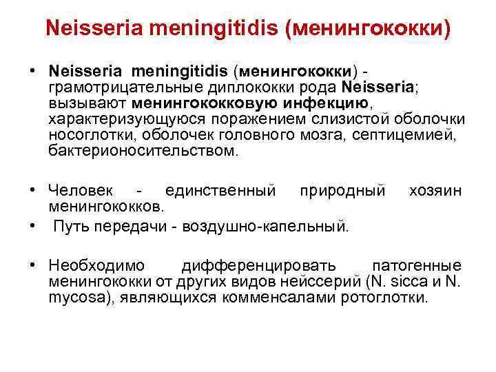 Neisseria meningitidis (менингококки) • Neisseria meningitidis (менингококки) - грамотрицательные диплококки рода Neisseria; вызывают менингококковую