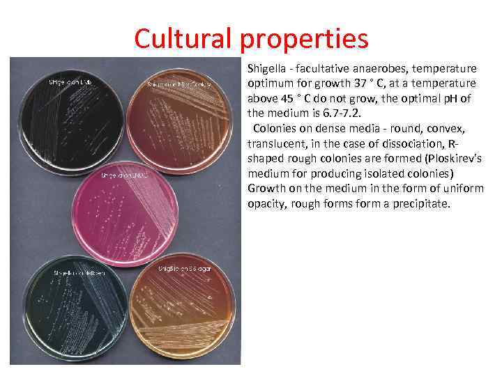 Cultural properties Shigella - facultative anaerobes, temperature optimum for growth 37 ° C, at
