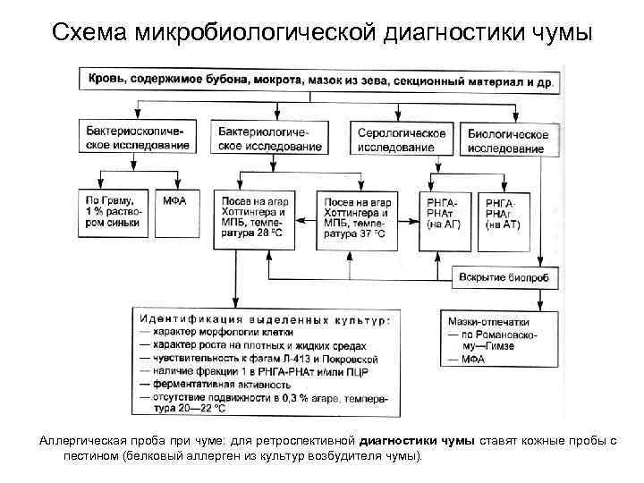 Схема микробиологической диагностики чумы Аллергическая проба при чуме: для ретроспективной диагностики чумы ставят кожные