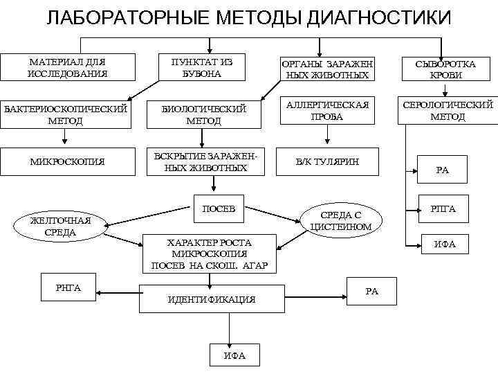 Схема исследования животных