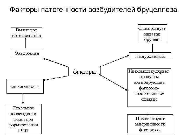 Факторы патогенности возбудителей бруцеллеза Способствует инвазии бруцелл Вызывают интоксикацию Эндотоксин гиалуронидаза факторы аллергенность Локальное