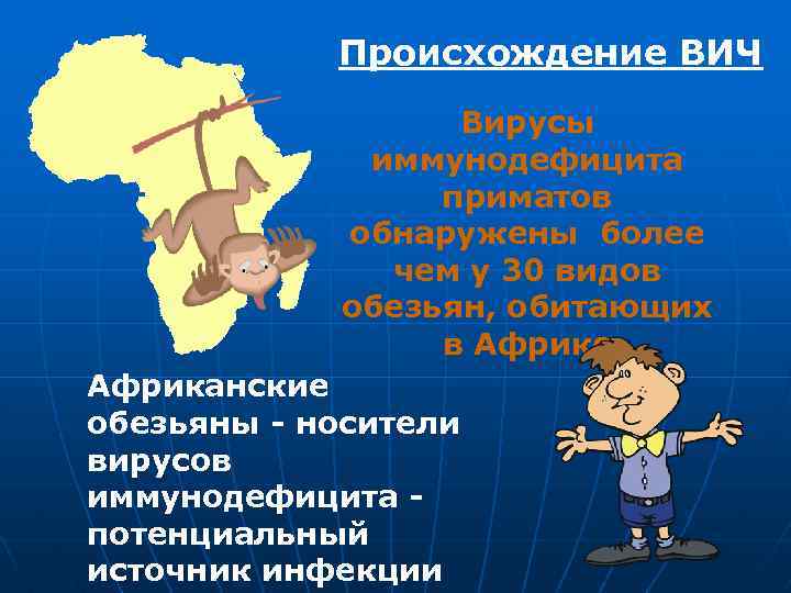 Происхождение ВИЧ Вирусы иммунодефицита приматов обнаружены более чем у 30 видов обезьян, обитающих в