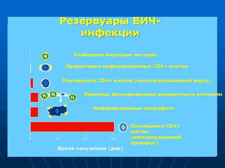 Резервуары ВИЧинфекции Свободные вирусные частицы Продуктивно инфицированные CD 4+ клетки Покоящиеся CD 4+ клетки