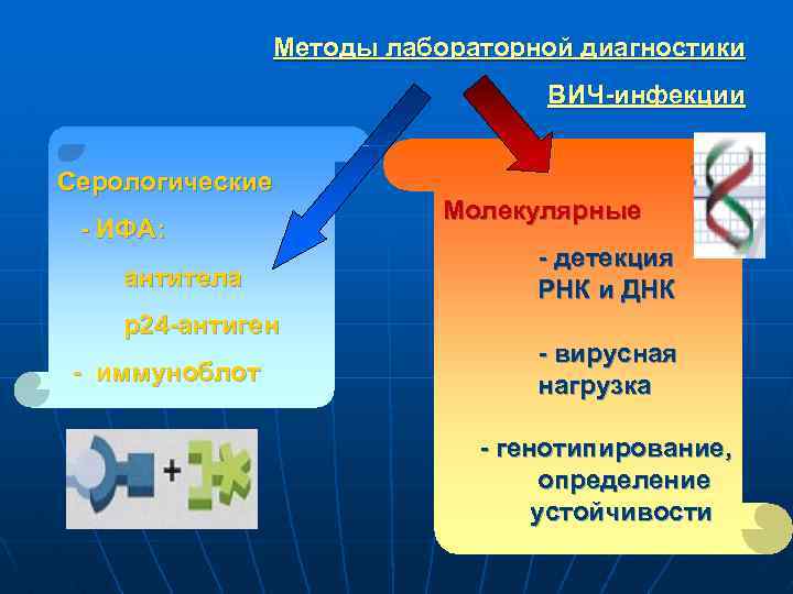 Методы лабораторной диагностики ВИЧ-инфекции Серологические - ИФА: антитела р24 -антиген - иммуноблот Молекулярные -